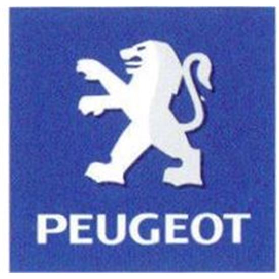 PEUGEOT TERMOSCUD